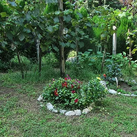 Keserovic ゲストハウス