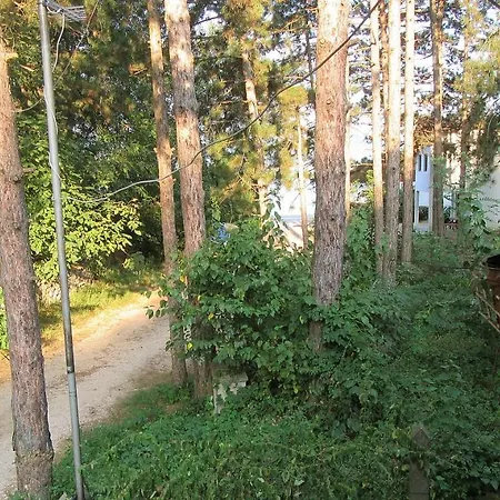 ゲストハウス Keserovic Vinci