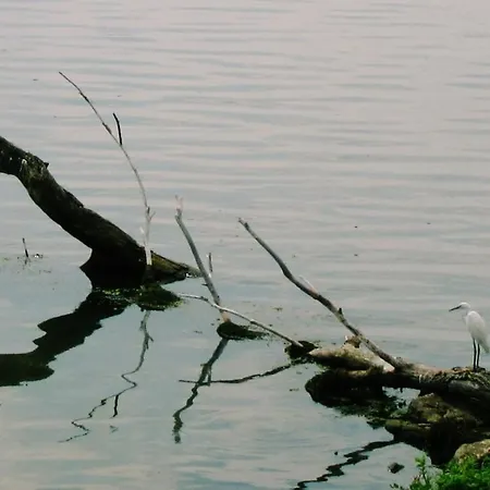 Keserovic ゲストハウス