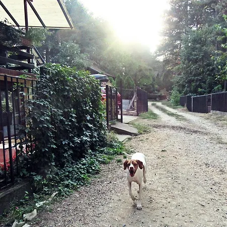 ゲストハウス Keserovic