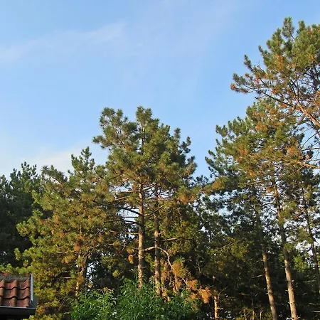 Keserovic ゲストハウス 2*