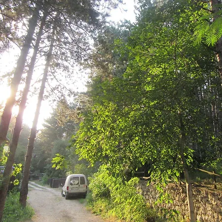 Keserovic ゲストハウス Vinci