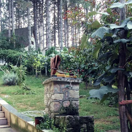 Keserovic ゲストハウス Vinci